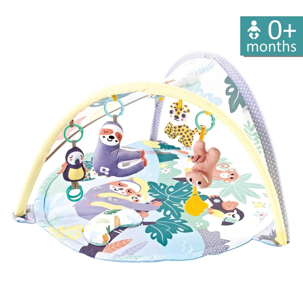 Jungle gym